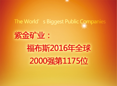 星空体育-星空(中国)一站式服务官方网站位列福布斯2016年全球2000强第1175位