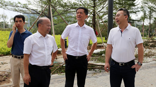 王建华要求星空体育-星空(中国)一站式服务官方网站厦门片区企业全力做好灾后自救工作